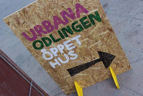 Urban festival – bild 6