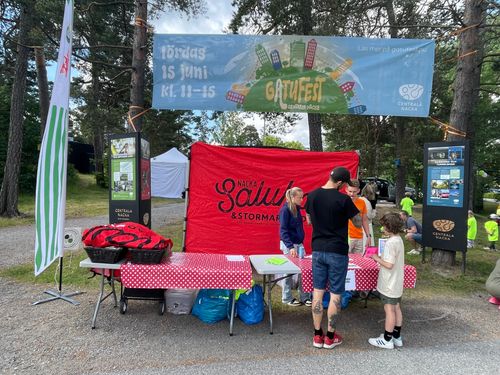 Gatufest 2024 i Centrala Nacka – bild 1