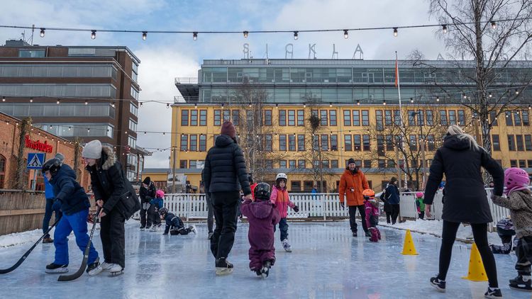 Sportlovs skoj